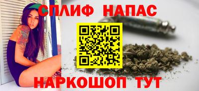 эйфоретик Гай