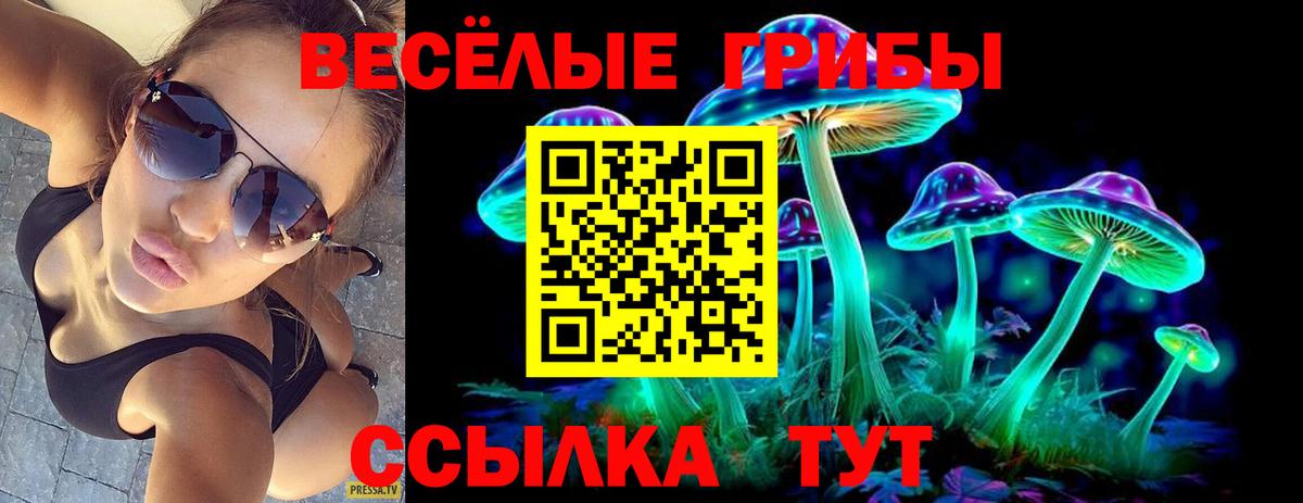 Псилоцибиновые грибы мухоморы  Вход с VPN  Моздок 