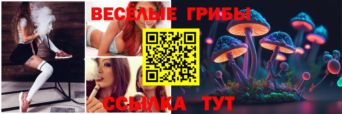 Псилоцибиновые грибы ЛСД Моздок